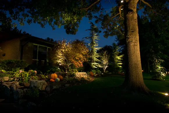 Garden Lighting Garden Lighting