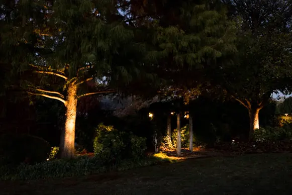 Horticulture Services Lighting Horticulture Services Lighting