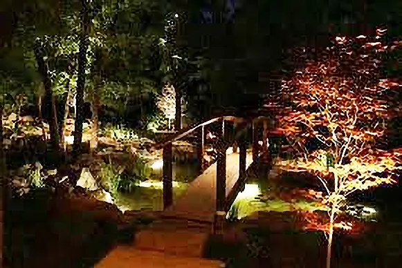 Water Garden Lights Water Garden Lights