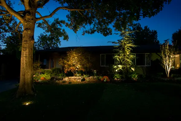 Yard Accent Lighting Yard Accent Lighting