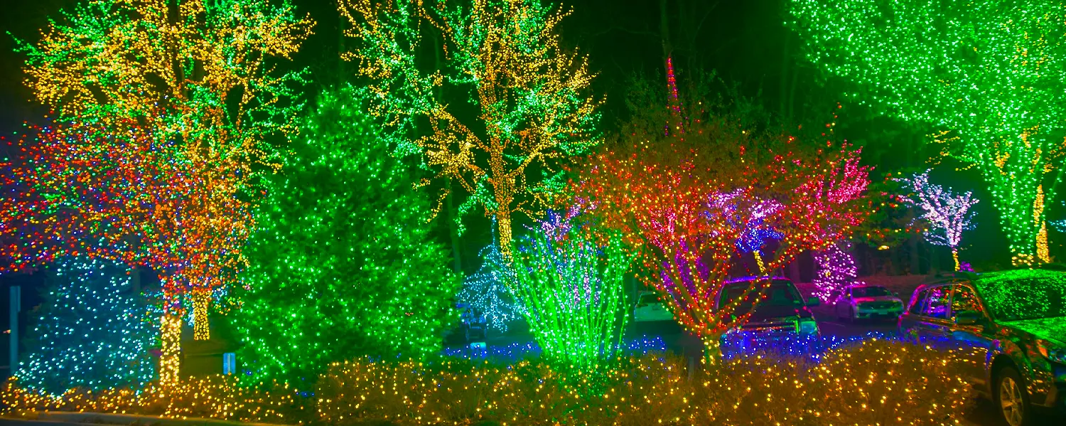 Christmas Lighting Installation Services - Horticulture Services