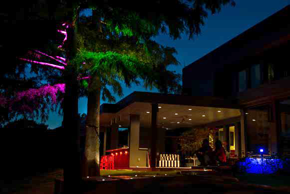 Commercial Landscape Lighting 